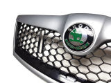 for Octavia II facelift 09-13 - complete grille in HONEYCOMB design+BRILLIANT SILVER frame -GREEN em